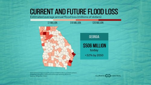 Carousel post from Sustainable Newton.