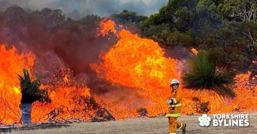 Photo post from Sustainable Newton.