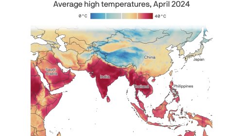 Photo post from Sustainable Newton.