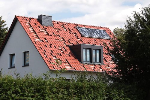 Photo post from Sustainable Newton.