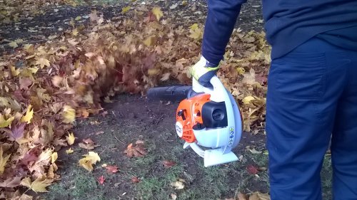 Photo post from Sustainable Newton.