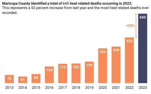 Carousel post from Sustainable Newton.