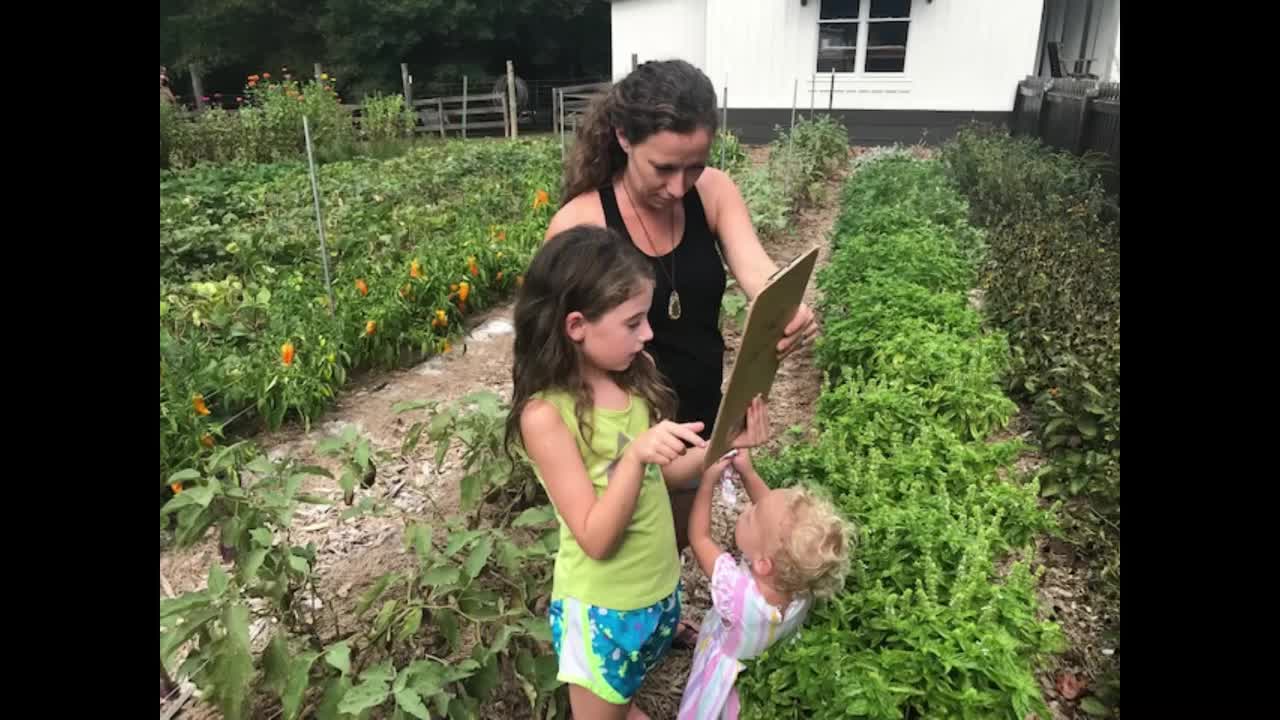 Video post from Sustainable Newton.