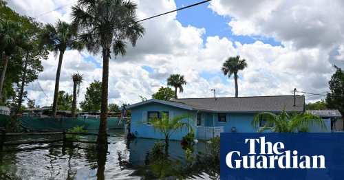 Photo post from Sustainable Newton.