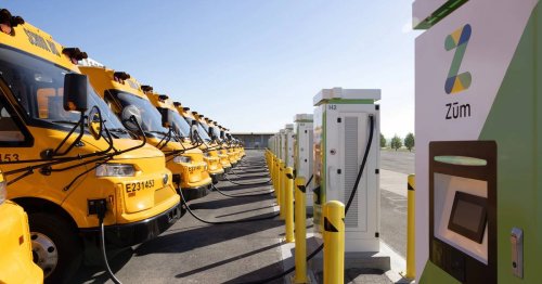 Photo post from Sustainable Newton.