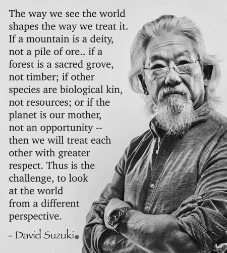 Photo post from Sustainable Newton.