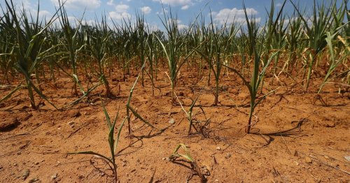 Photo post from Sustainable Newton.