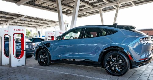 Photo post from Sustainable Newton.