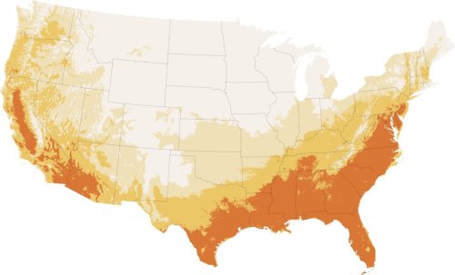 Carousel post from Sustainable Newton.