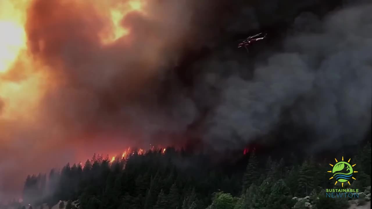 Video post from Sustainable Newton.