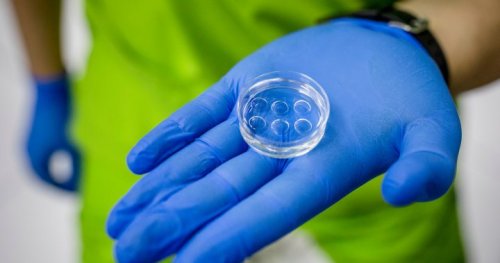 Photo post from Sustainable Newton.