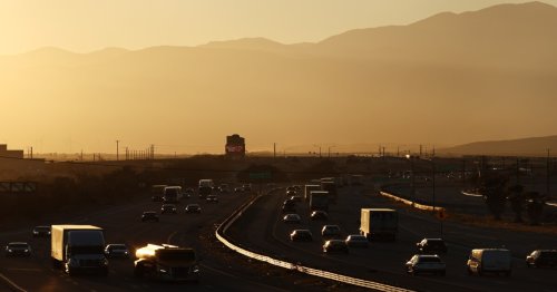 Photo post from Sustainable Newton.