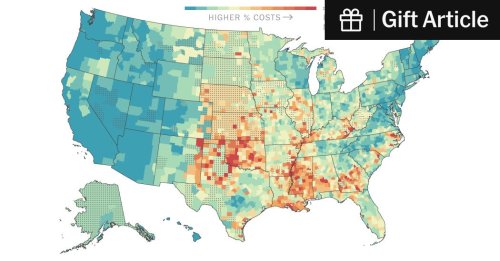 Photo post from Sustainable Newton.