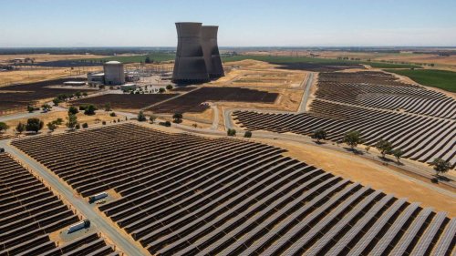 Photo post from Sustainable Newton.