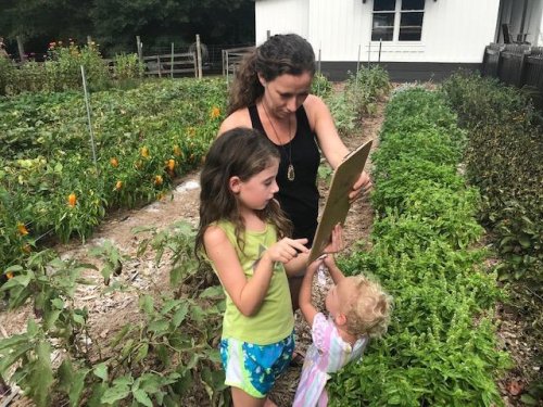 Photo post from Sustainable Newton.