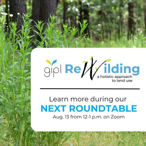 Photo post from Sustainable Newton.