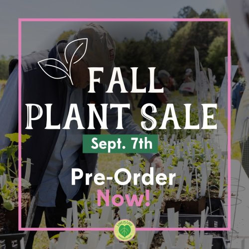 Photo post from Sustainable Newton.