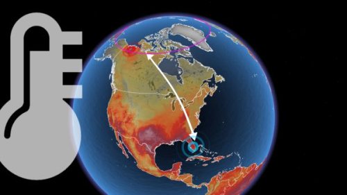 Photo post from Sustainable Newton.