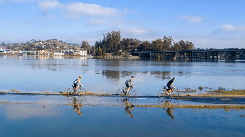 Photo post from Sustainable Newton.