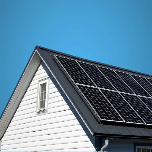 Photo post from Sustainable Newton.