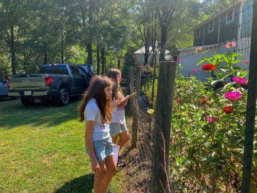 Photo post from Sustainable Newton.