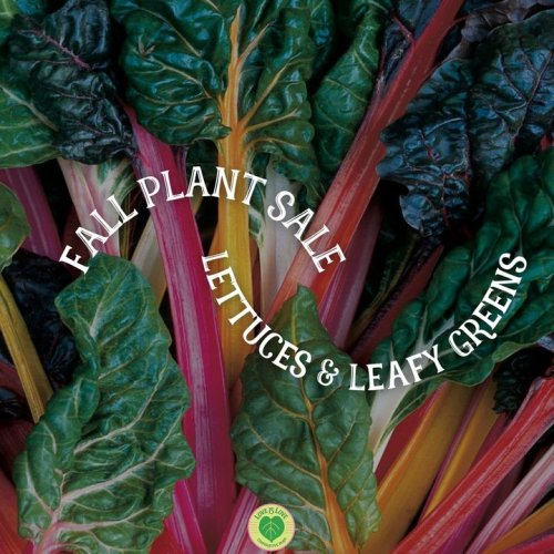 Carousel post from Sustainable Newton.