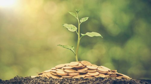 Photo post from Sustainable Newton.