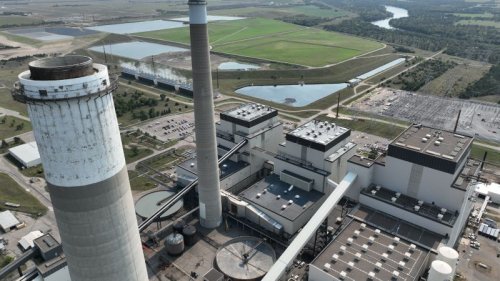 Photo post from Sustainable Newton.