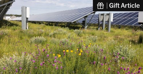 Photo post from Sustainable Newton.