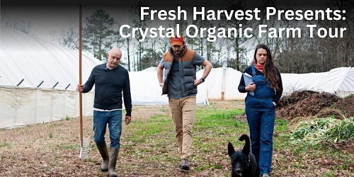 Photo post from Sustainable Newton.