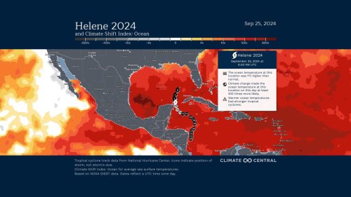 Photo post from Sustainable Newton.