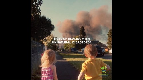 Video post from Sustainable Newton.