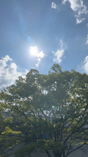 Video post from 三省製薬　デルメッド.