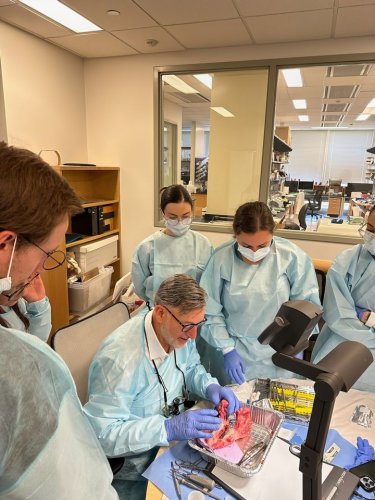 Carousel post from Geistlich Biomaterials - North America.