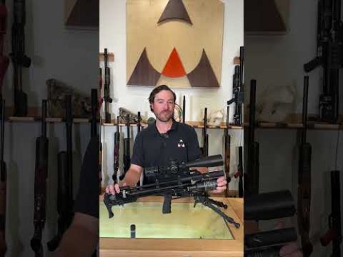 Video post from airgunsofarizona.