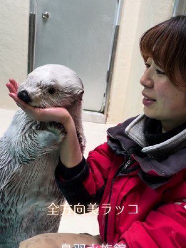 Video post from 鳥羽水族館(TOBAAQUARIUM)公式.