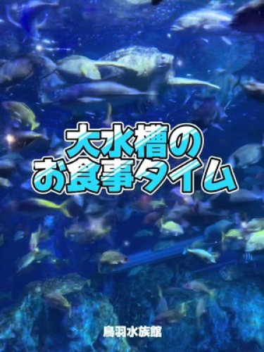 Video post from 鳥羽水族館(TOBAAQUARIUM)公式.