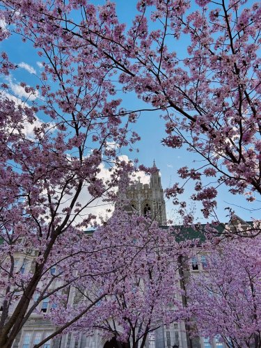 Video post from bostoncollege.