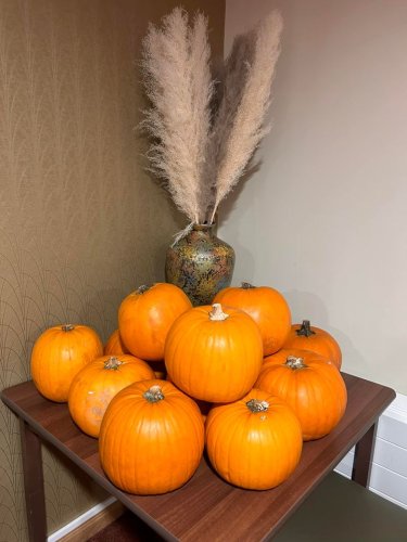 Photo post from Sherwood Grange Care Home.