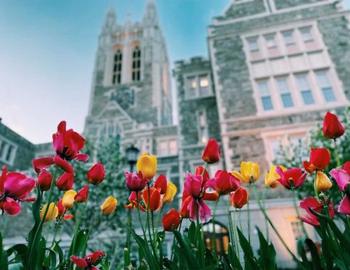 Photo post from Boston College.