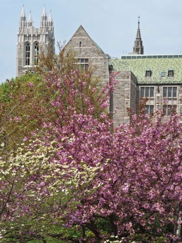 Photo post from Boston College.