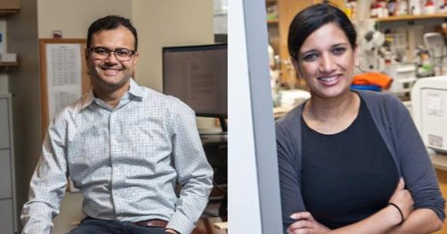 Photo post from Boston College.