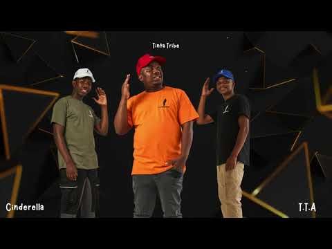 Video post from Tinta Tribe.