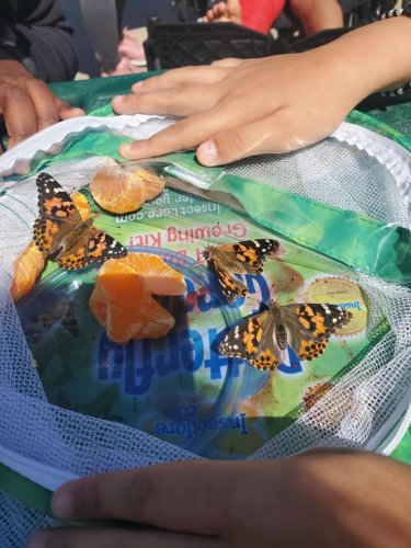 Carousel post from Grassy Creek Elementary School.