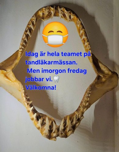 Photo post from Tandläkare Katrin Onno.