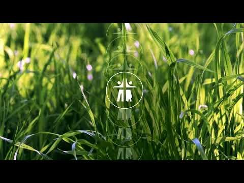 Video post from First Apostolic Church of Aurora.