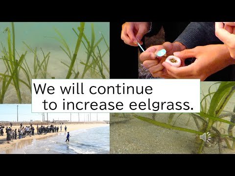 Video post from Youth Water Forum.