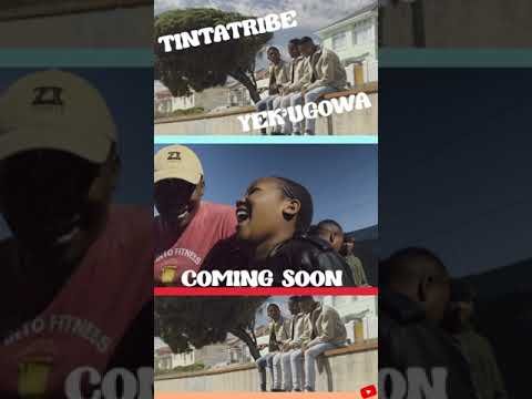 Video post from Tinta Tribe.