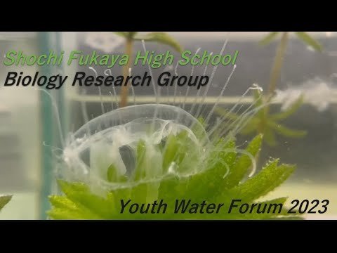 Video post from Youth Water Forum.