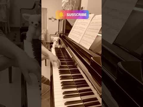 Video post from ロコ大人ピアノ部.